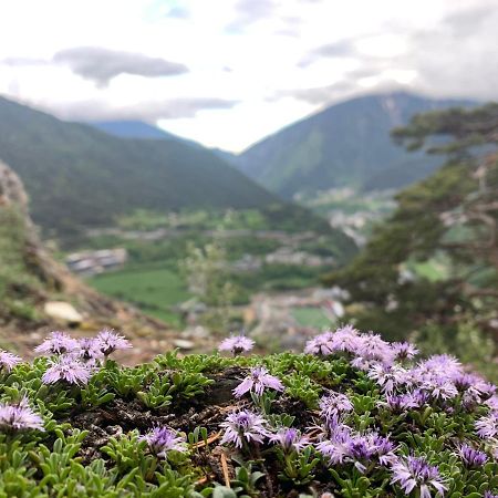 Maians - Peu Del Riu 122 - Vall D'Incles - Soldeu エクステリア 写真