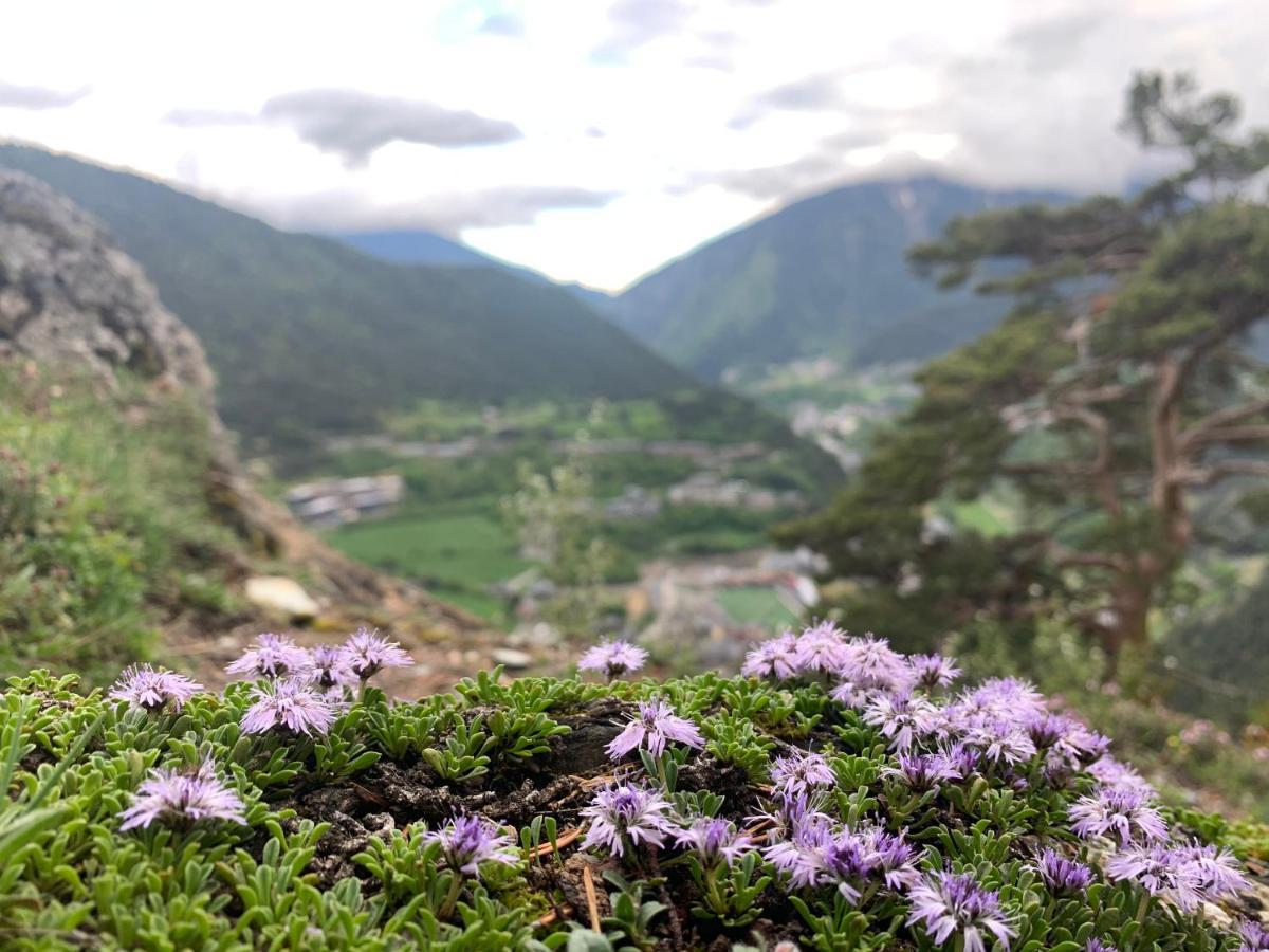 Maians - Peu Del Riu 122 - Vall D'Incles - Soldeu エクステリア 写真