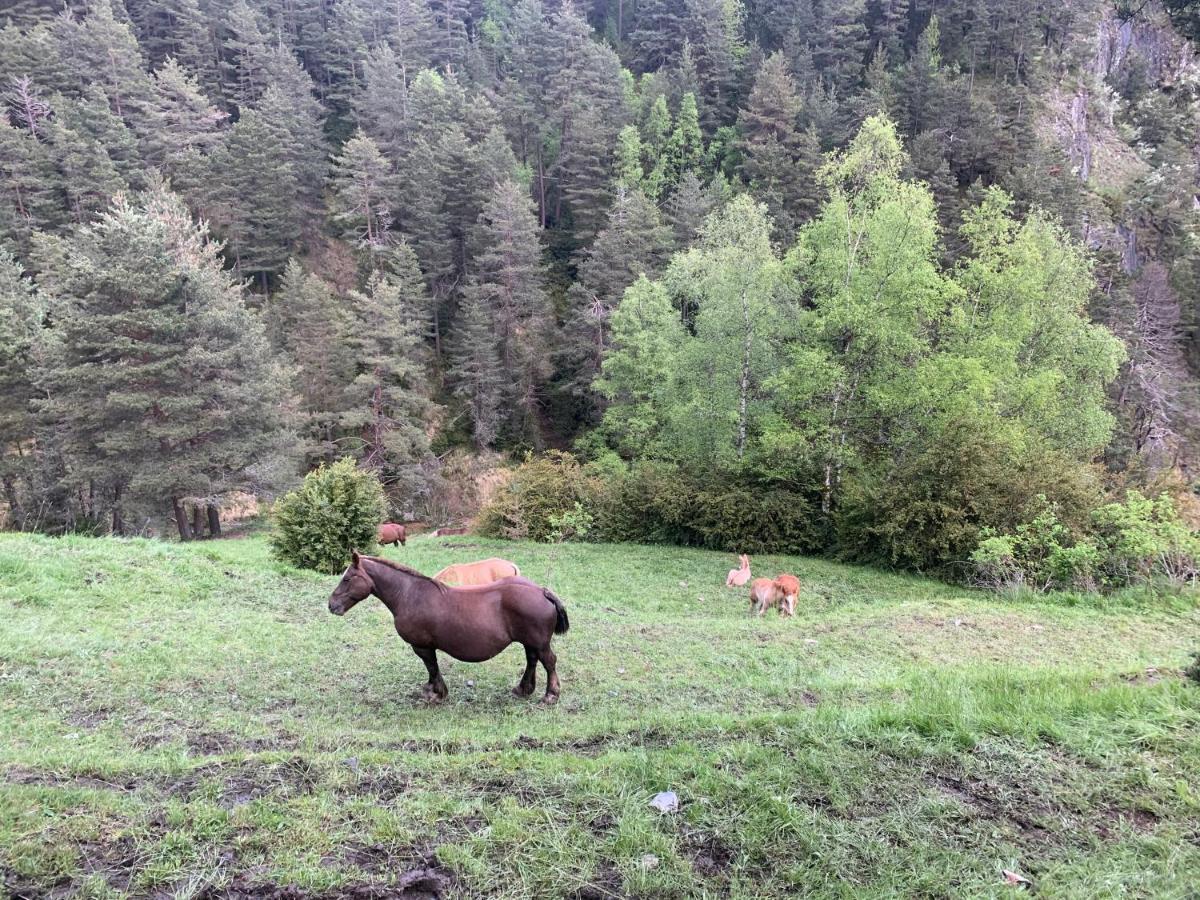 Maians - Peu Del Riu 122 - Vall D'Incles - Soldeu エクステリア 写真
