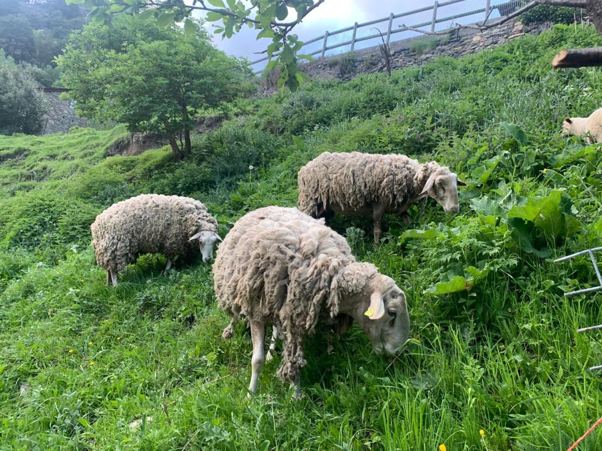 Maians - Peu Del Riu 122 - Vall D'Incles - Soldeu エクステリア 写真